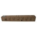 TONER RICOH CYAN BLACK STAR,MPC4502,MPC5502 841754,CARTUCHO      